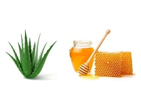 Aloe Vera with Honey