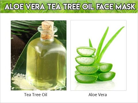 Aloe Vera and Tea Tree Oil Face Mask