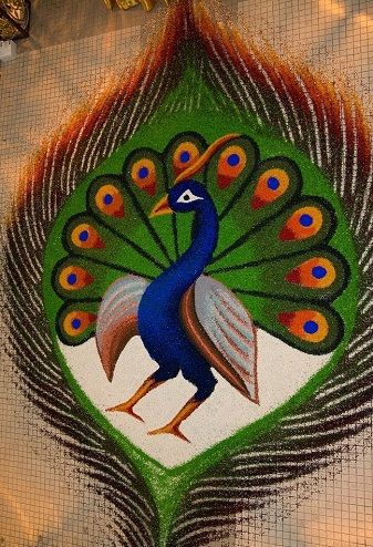 peacock-in-its-feather-rangoli66