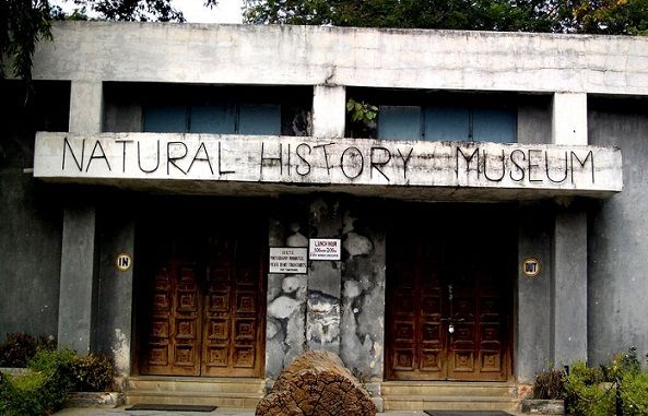 Famous Museums in Hyderabad-Natural History