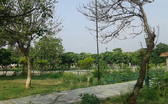 parkok-in-Lucknow-jyotiba-Phule-zonális-park