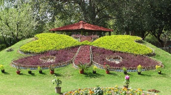parki-v-Chandigarh-metulj-park