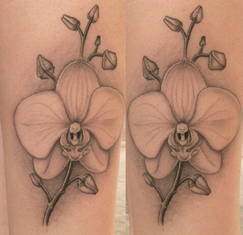 9 modele de tatuaje orhidee frumoase și semnificații cu imagini