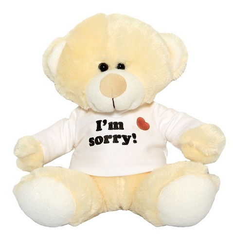 Teddy Bear Sorry Gifts