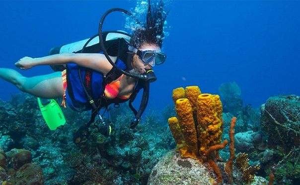 diving-bluetribe-moofushi_maldives-turistice-locuri