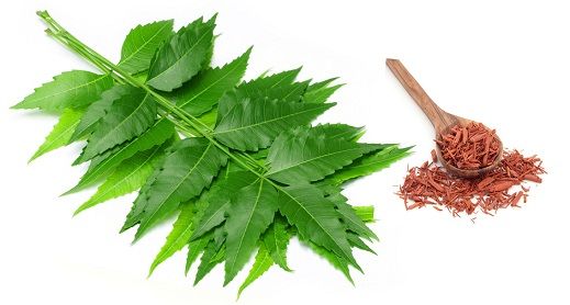 neem and sandalwood