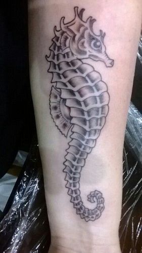Realističen Seahorse Tattoo