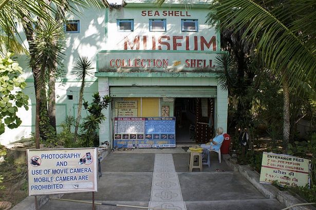 shell-museum_diu-tourist-places