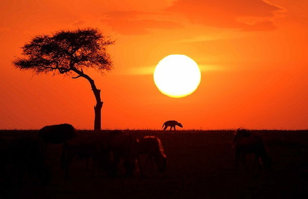 Masai-mara-sunset_kenya-turistice-locuri