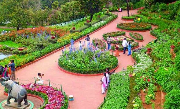 celebru Parks in Ooty-Botanical Gardens