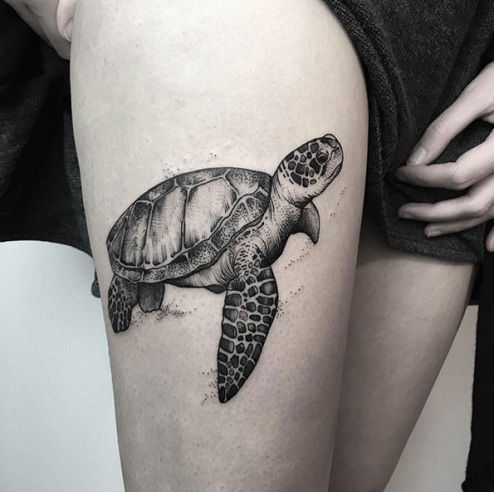 Čudovito Turtle Tattoo