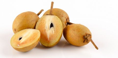 Sapota fruit health benefits