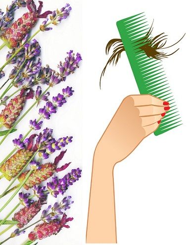 herbal treatment for hair loss