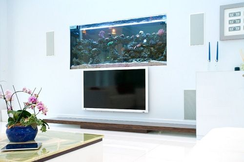 TV Unit with Aquarium