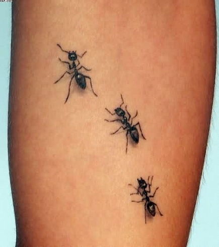 Mravlja Tattoos