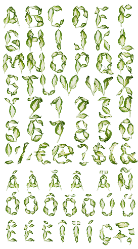 Levél növényen Alphabets Nature Craft
