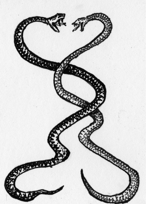 A romantic intertwined snake tattoo