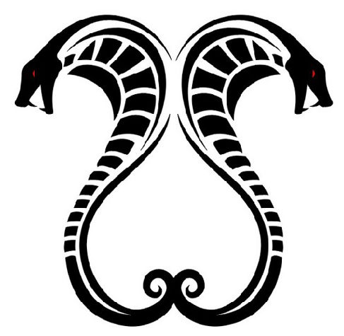 Cobra Tattoo on the back