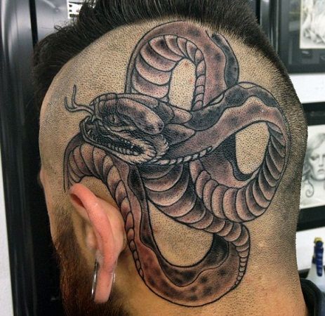 Cobra Tattoo on head special pattern
