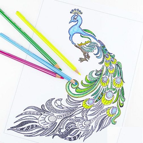 Nenavadno Peacock Coloring Sheet