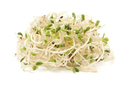 Liucerna Sprouts