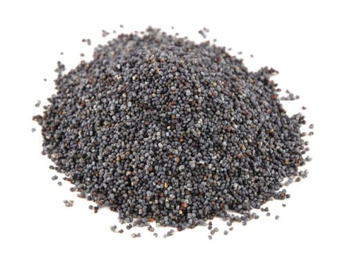 poppy seeds during pregnancy
