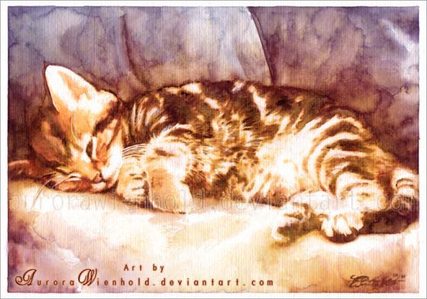 "Aurora Wienhold" akvarelės katė