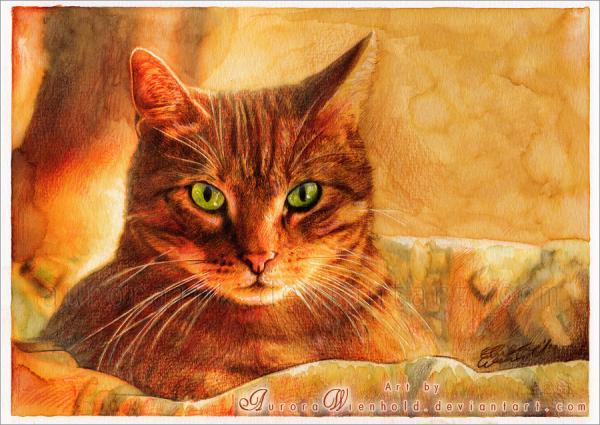 "Aurora Wienhold" akvarelės katė