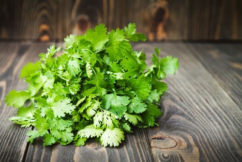 Coriander and Cilantro – What’s the Difference?