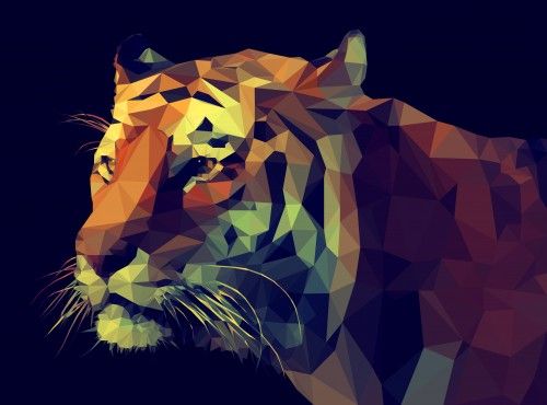 Sanje o Tigrih