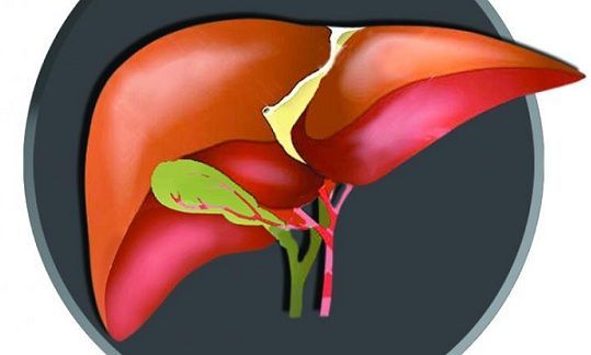 zsíros liver symptoms and causes
