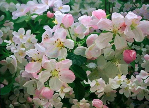 Cvetne slike Andrey Nikulin