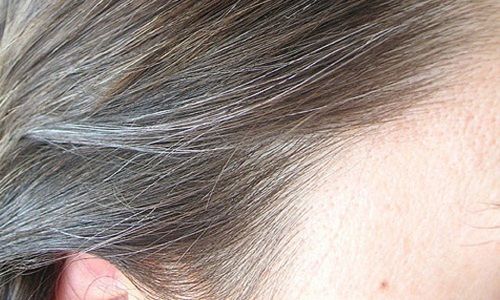 Gorčica Oil Benefits for Grey Hair