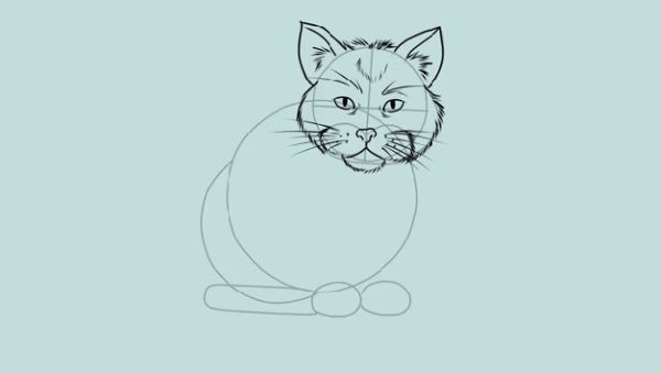 Kaip piešti kačiuką