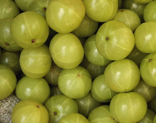 Hogyan To Get Thick Hair Naturally - Indian Gooseberry