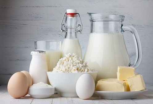 Dairy Products for Increase Height