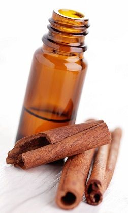 butelis of cinnamon aromatherapy oil - beauty treatment