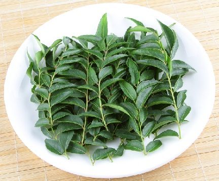 curry-leaves-for-dandruff-control