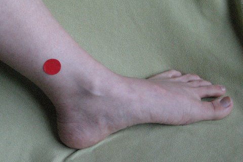 presopunctură Points For Weight loss ankle point