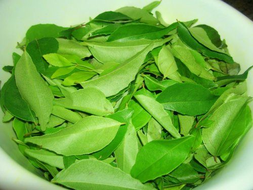 How to Use Curry Leaves for Hair Growth? | Styles At Life