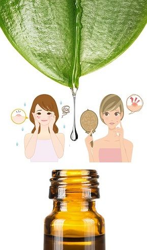 ceai tree oil for acne