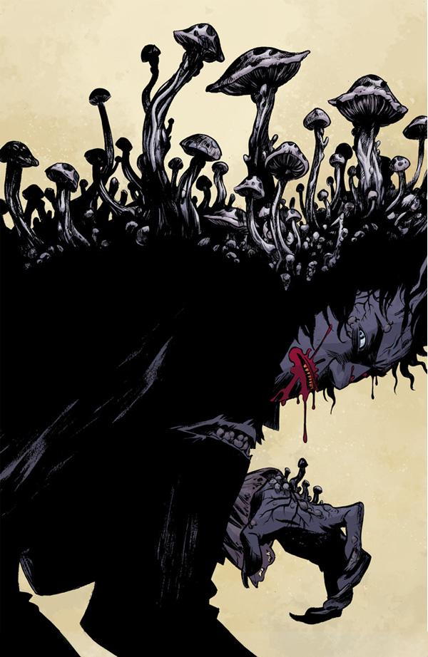 Illustrations by Becky Cloonan