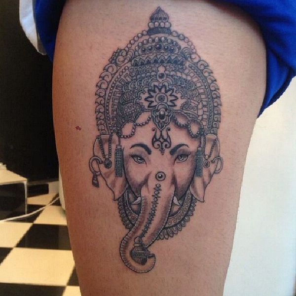 21 Superior Indian elephant on the thigh