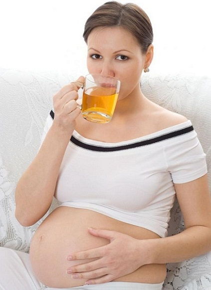 Lipton Tea During Pregnancy 3