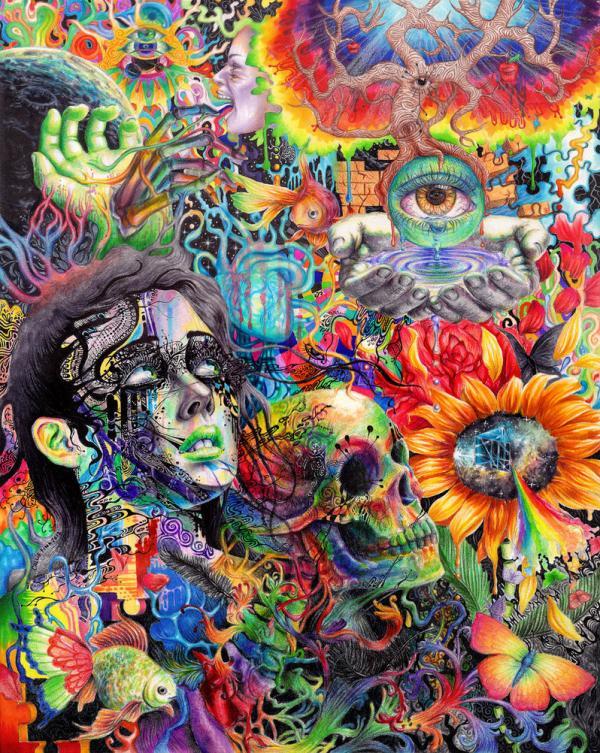 Mixed Media Drawings by Callie Fink