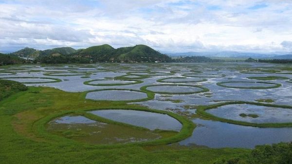 parks-in-manipur-keibal-lanjao-national-park