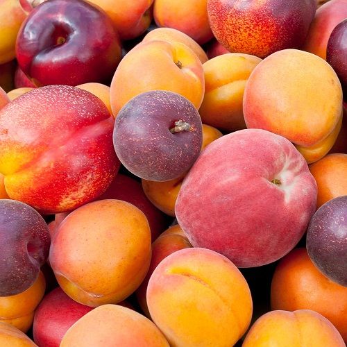 Peaches During Pregnancy