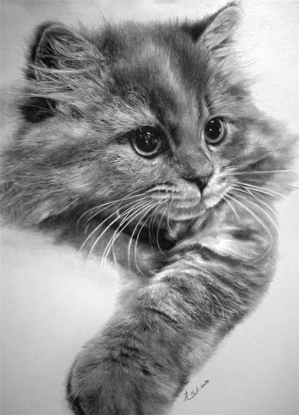 Pencil Sketches by Paul Lung