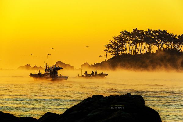 Photography by Tiger Seo