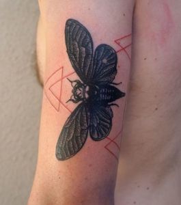 tatouage-par-mikki-bold-sur-le-bras-un-papillon-de-nuit_147263_w620